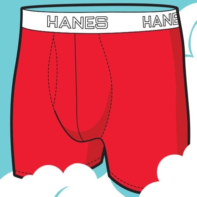 Receive Your Free Total Support Pouch Boxer Briefs By Hanes