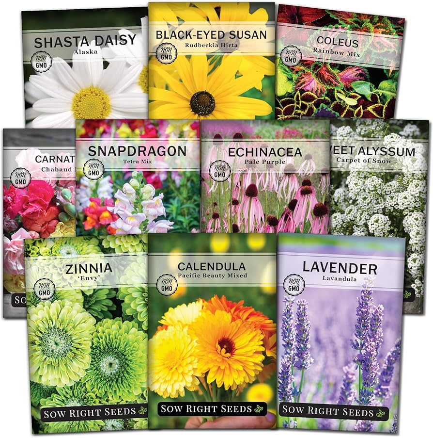 Free 2025 Sow True Seed Catalog