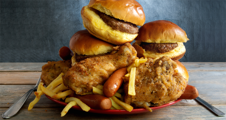 Free Backhome Foods Signature Meal from WeStock
