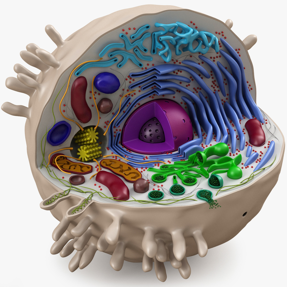 Free Cell Fusion C Skincare Products from Cell Fusion C Creator Program