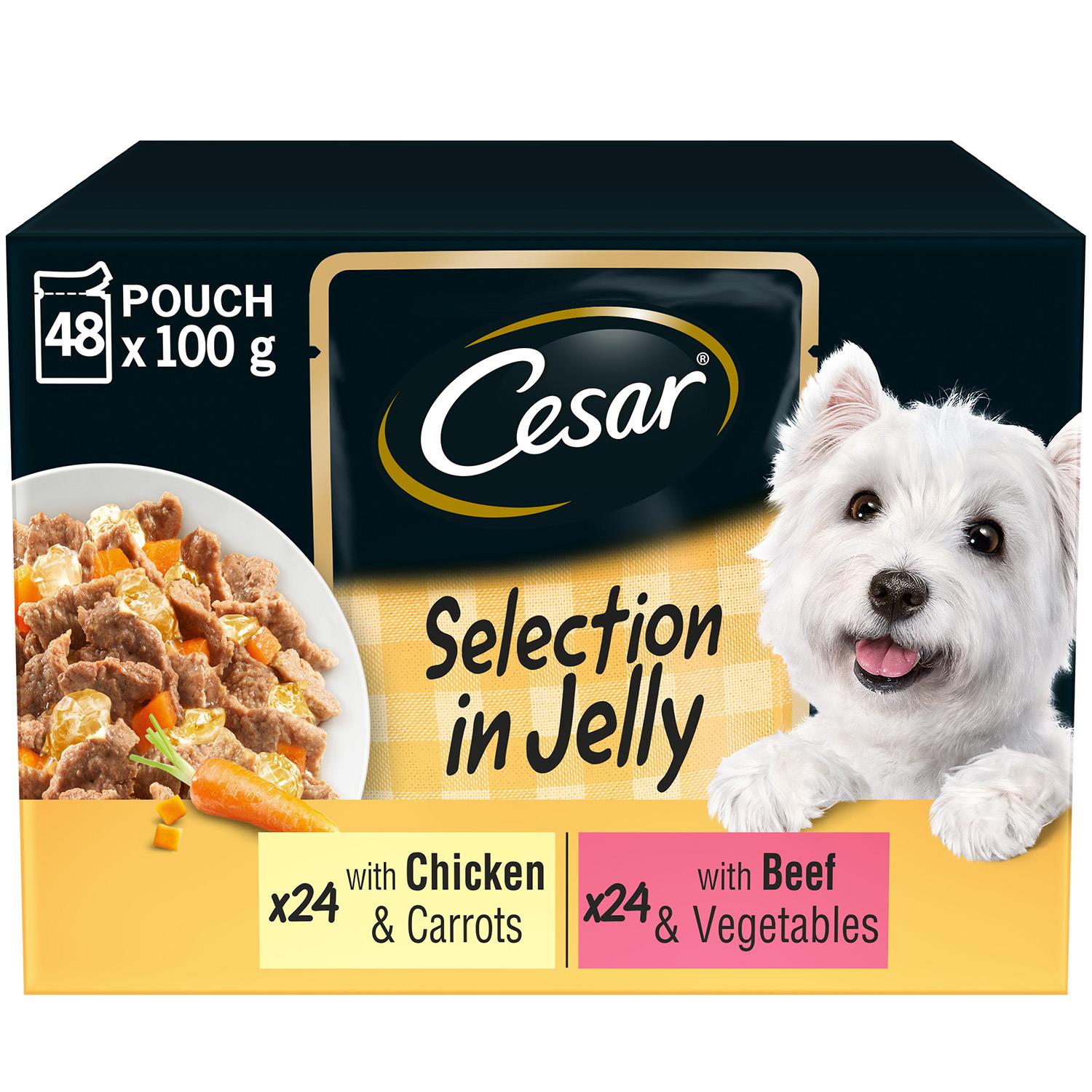 Free Cesar Wet Dog Food Pouch from Dollar General