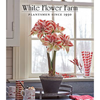 Claim your FREE White Flower Farm catalog