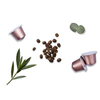 Claim your FREE Intenso Coffee Capsules from Bean from Heaven