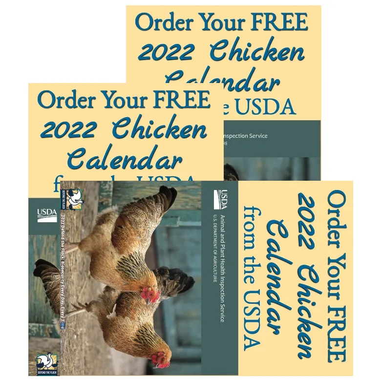 Free 2022 Chicken Calendar