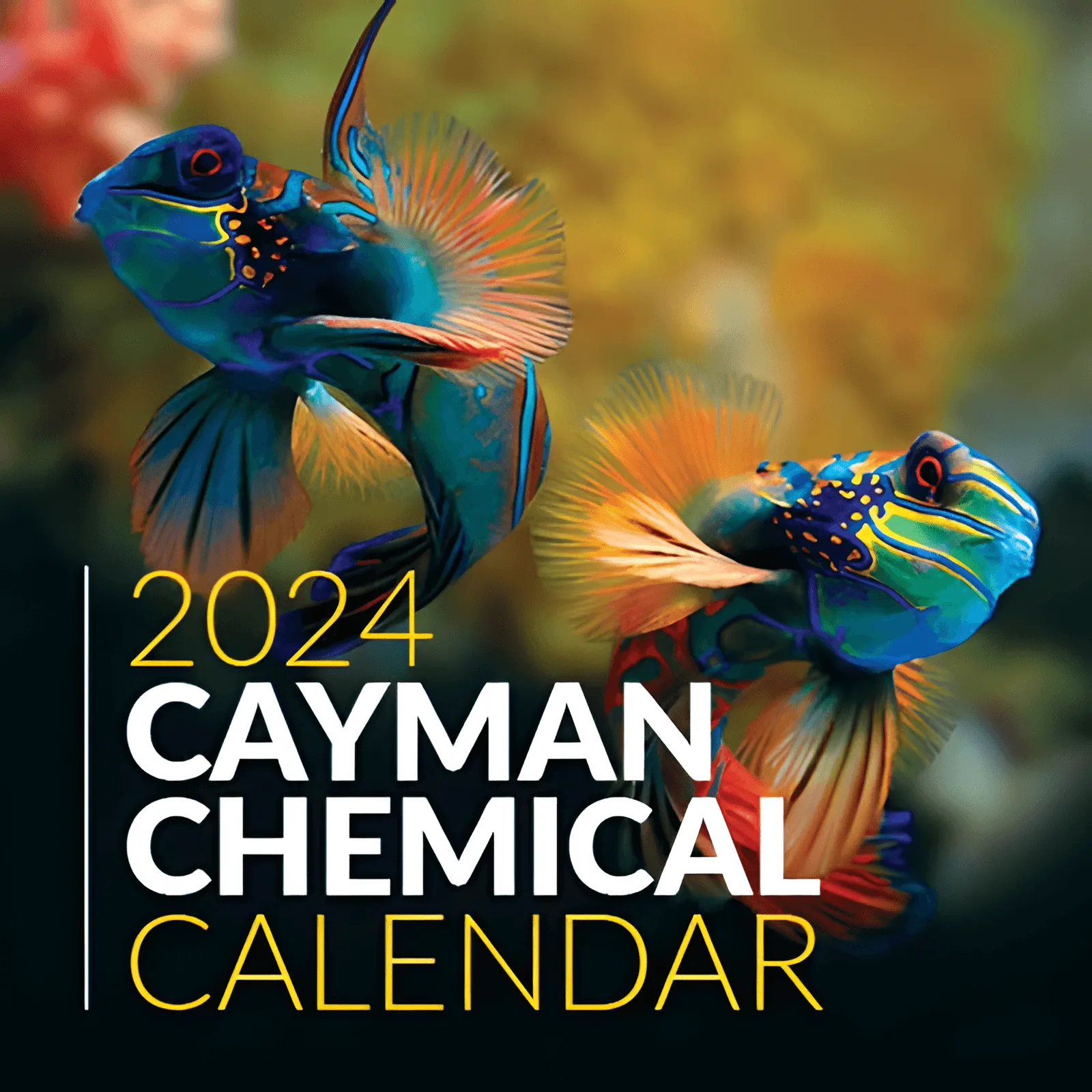 Free 2024 Cayman Calendar