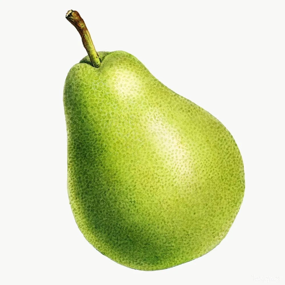 Free Bartlett Pears