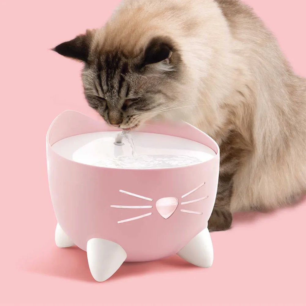 Free Catit PIXI Fountain For A Curious Cat