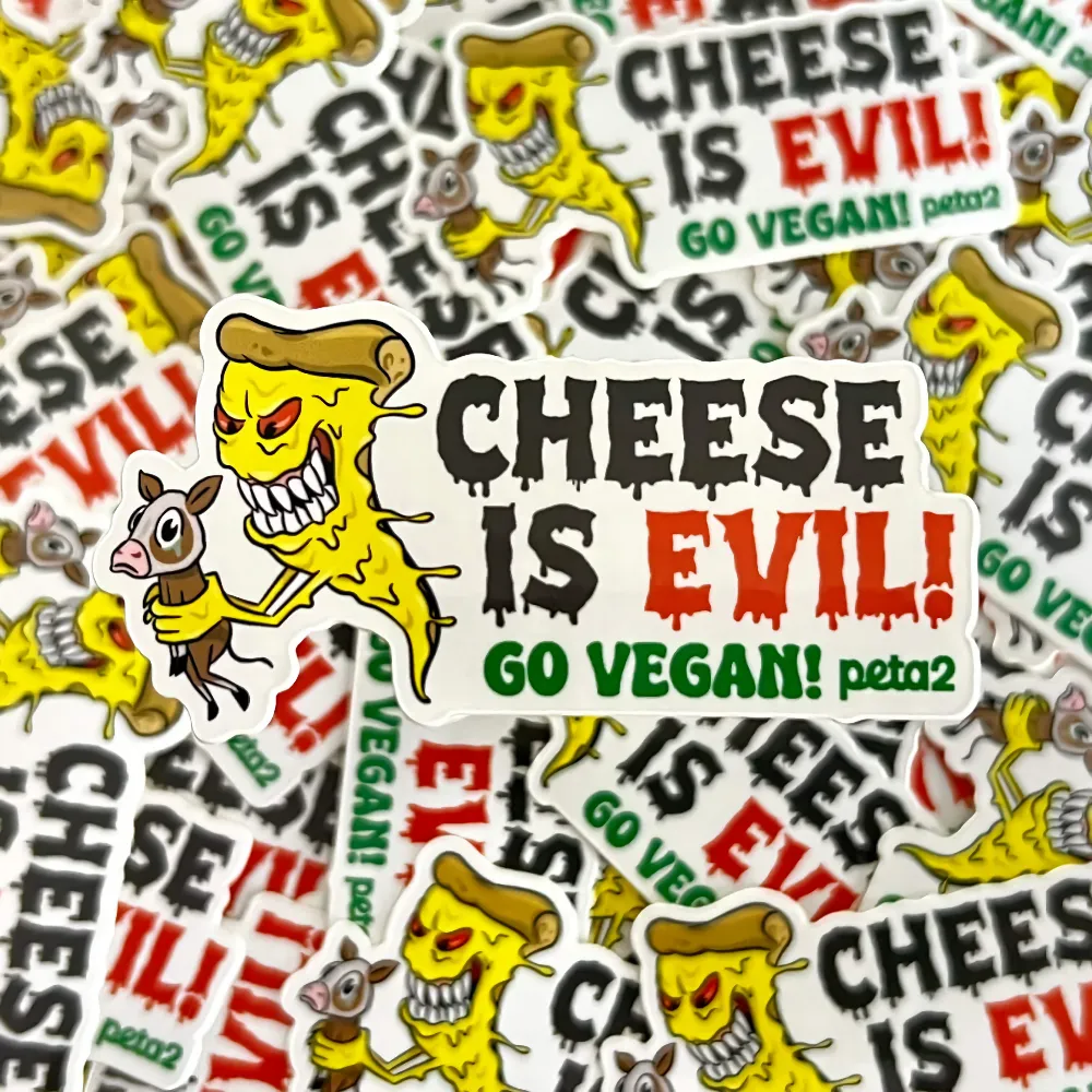 Free "Cheese Is Evil" Sticker