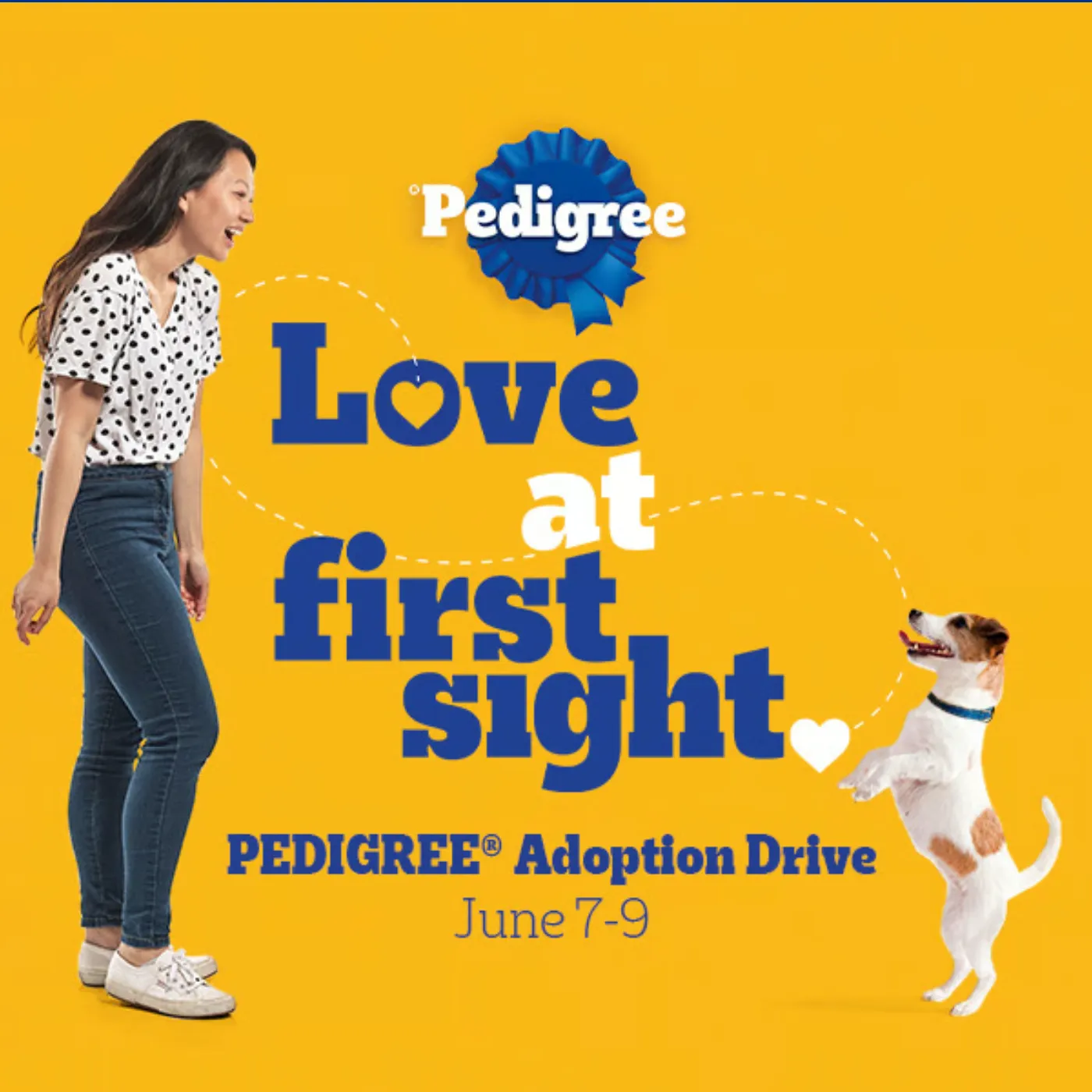 Free Dog Adoption With Pedigree