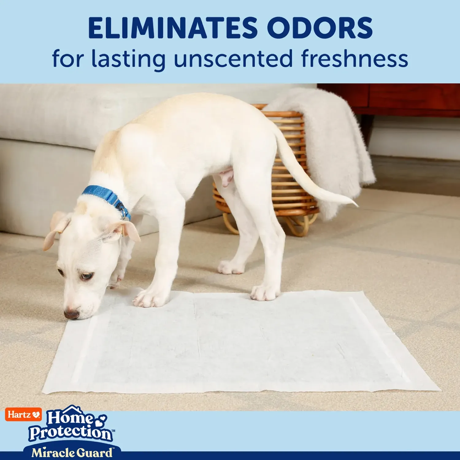 Free Hartz Home Protection Miracle Guard Dog Pads