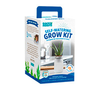 Get A Free Self-Watering Succulent Kit
