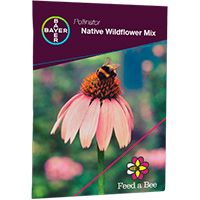 Get A Free Wildflower Seeds Sample Pack