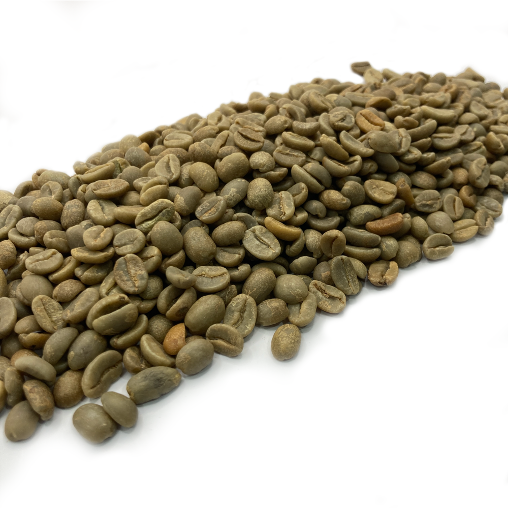 Free HAFI Coffee Sample from Reverb Coffee Roasters
