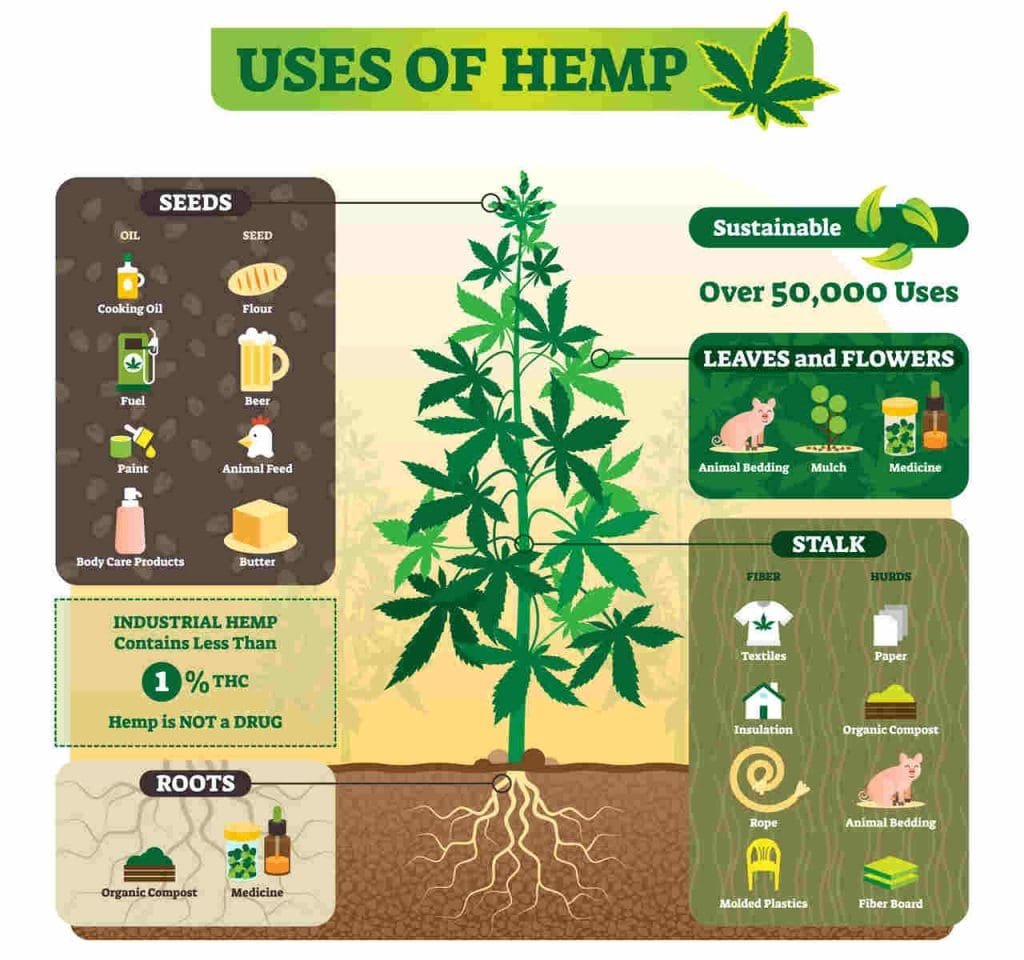Free Hemp Heart Protein Powder from Silver Rain Wellness
