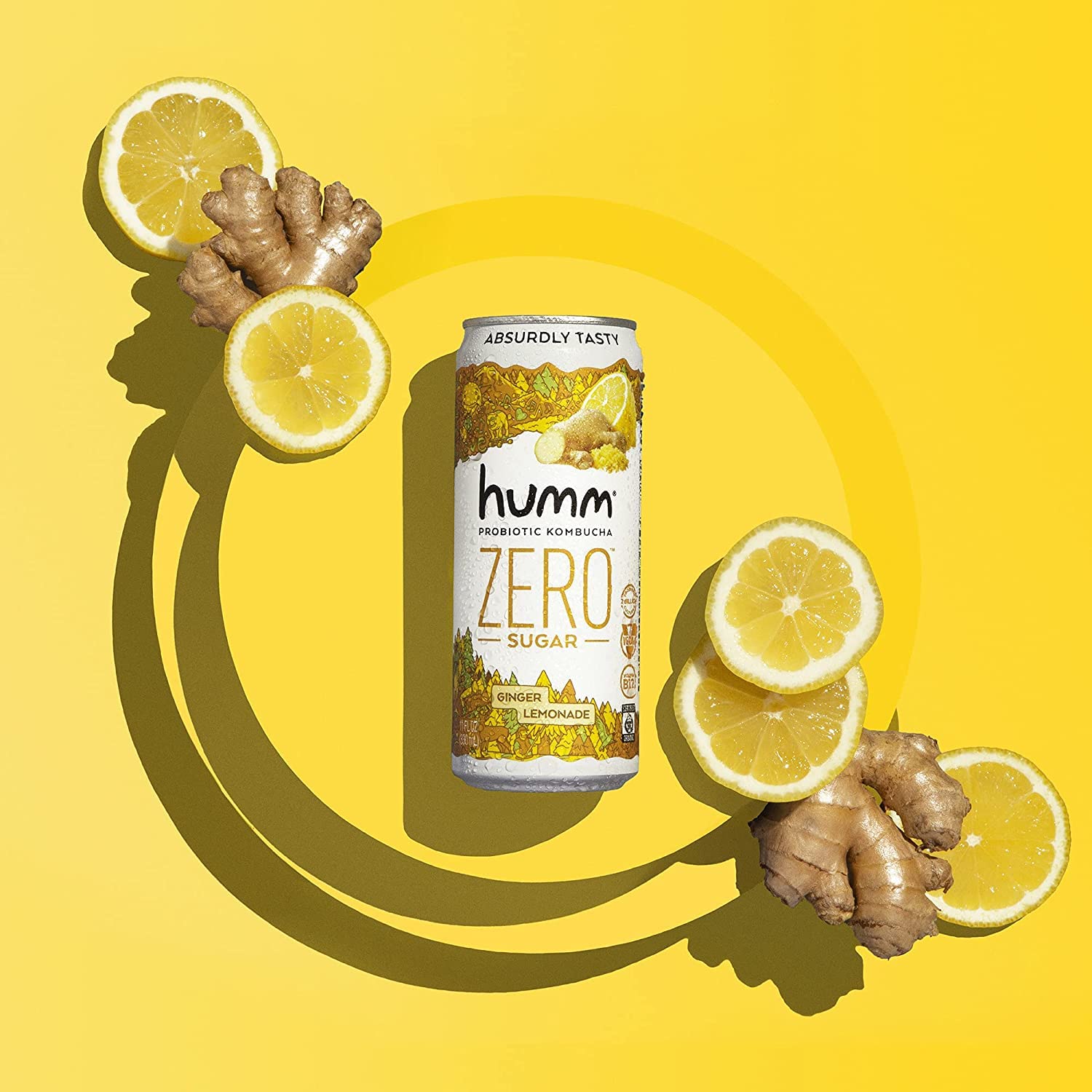Free Humm Kombuchas Organic Probiotic Kombucha from Social Nature