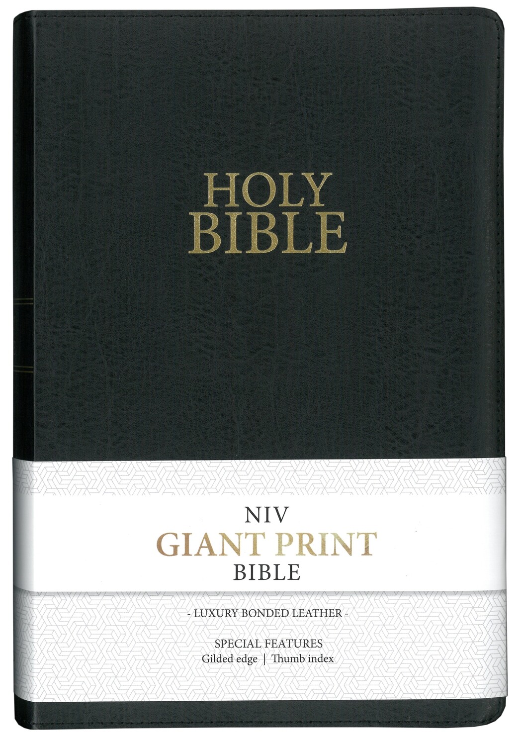 Free NIV Holy Bible