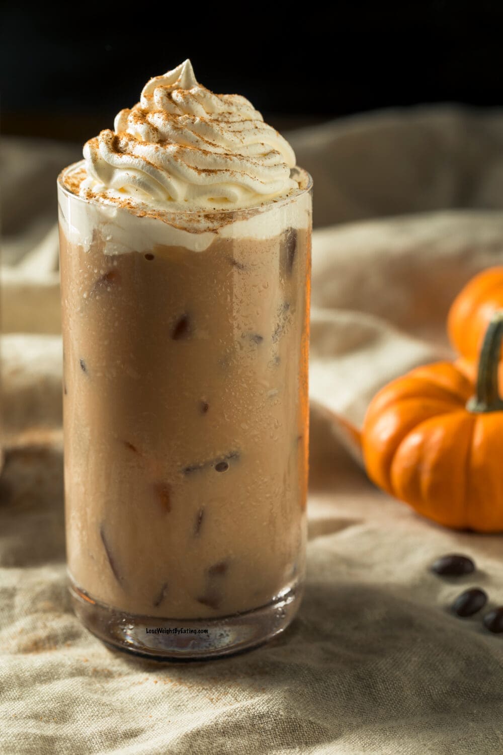 Free Native Pets Pumpkin Spice Latte Pup Cup from Petco