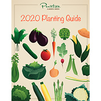 Order A Free Hard Copy Of Pinetree Garden Seeds 2020 Catalog