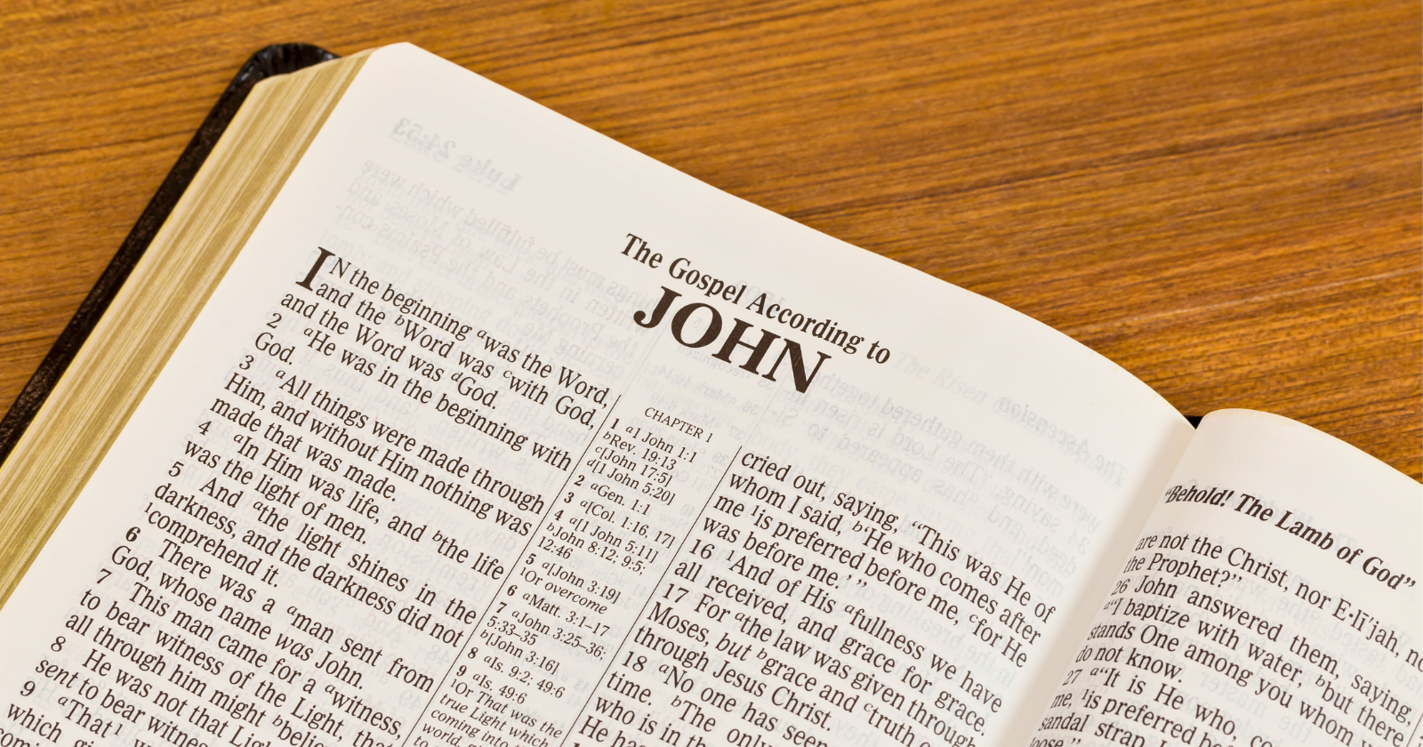 Free PTL Pocket-Sized 3:16 Gospel of John