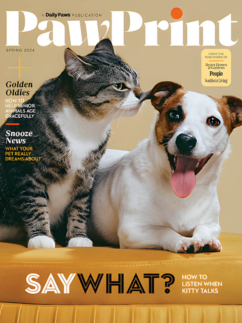 Free Pawprint Magazine