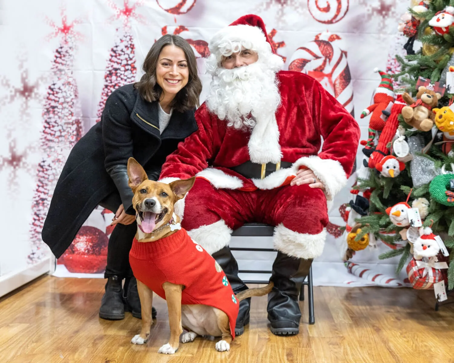 Free Pet Photos with Santa from Petco