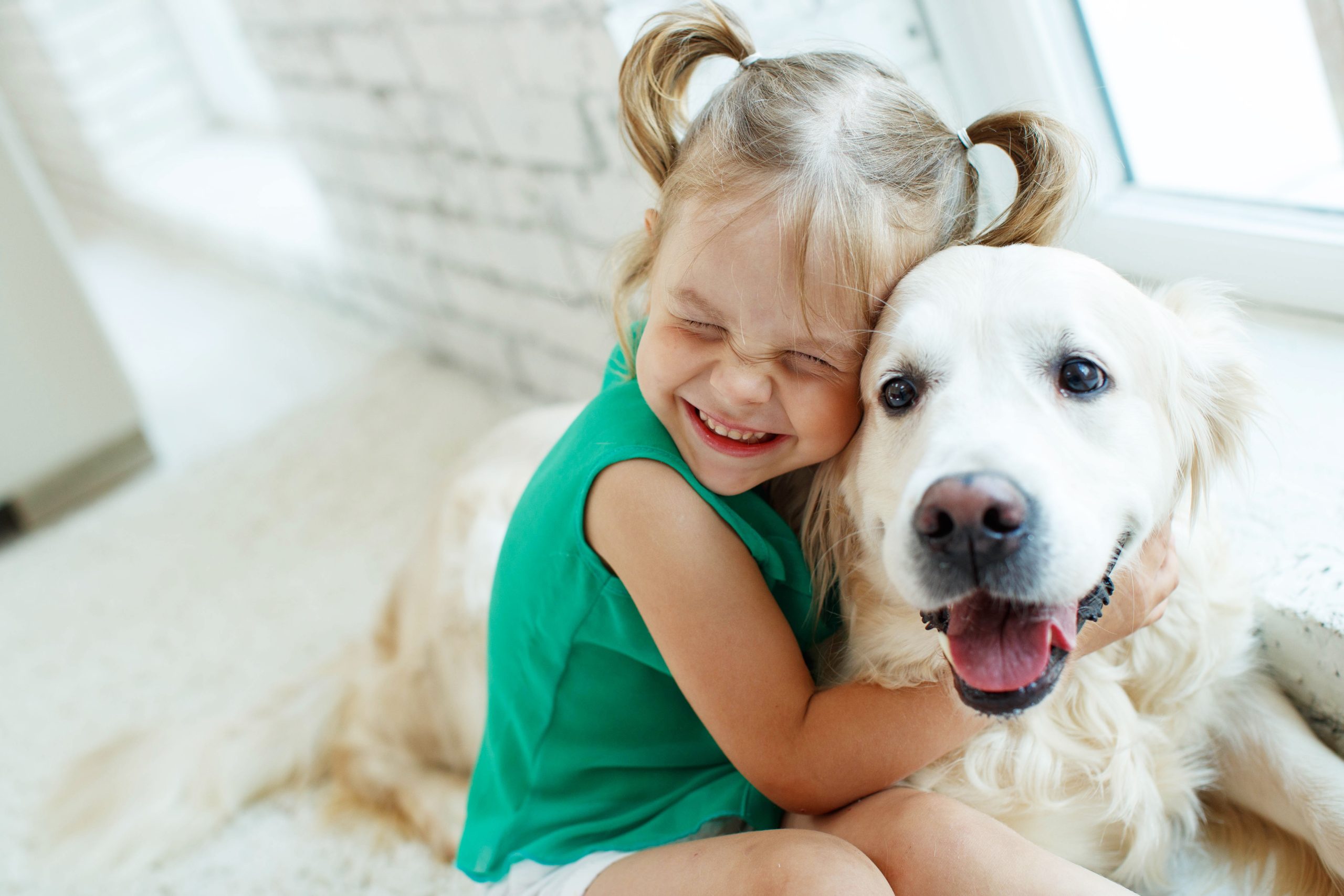 Free Pet Products for Dogs and Cats