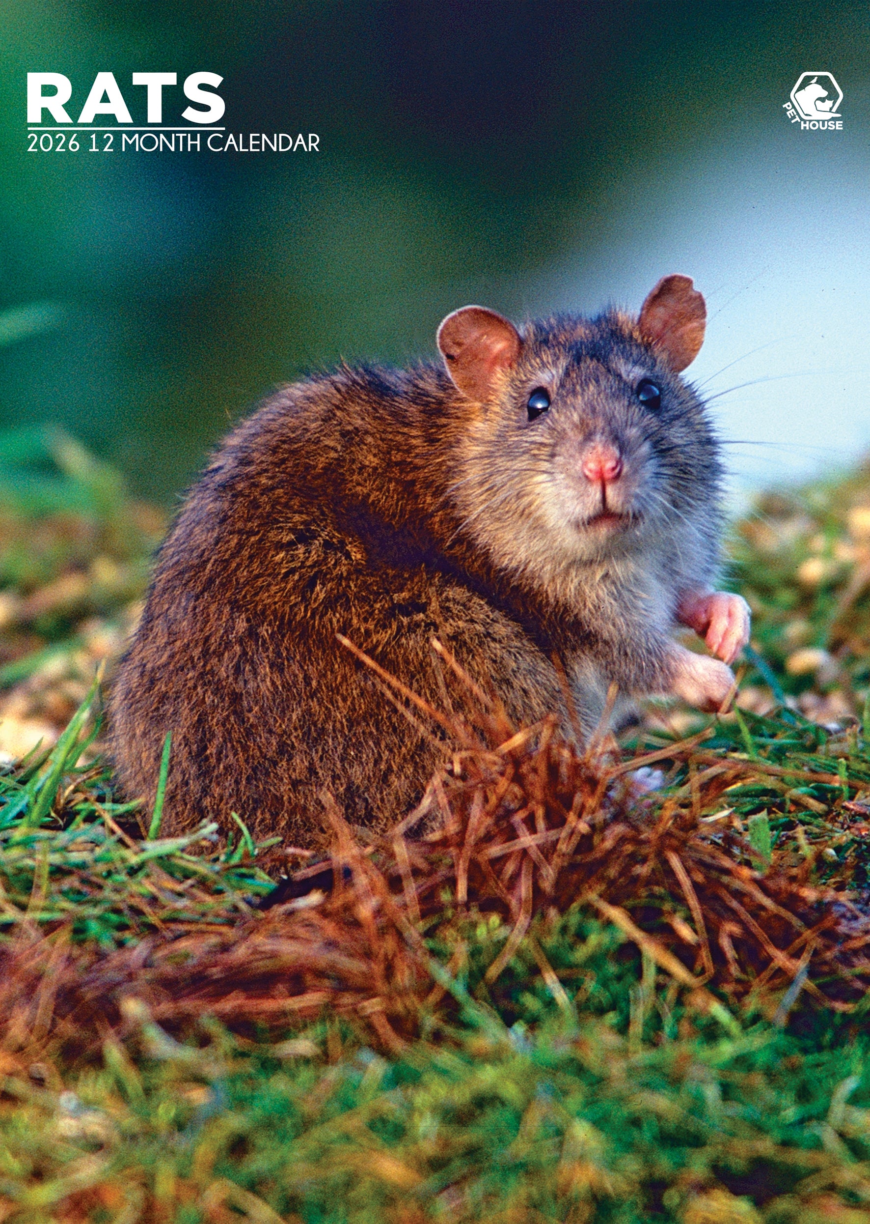 Free Rat Genome 2026 Desktop Calendars