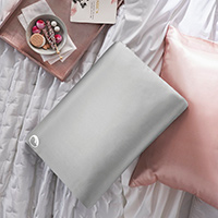 Receive A Free Comfort Revolution Pillow In Exchange For A Honest Review