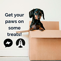 Request A Free Gratsy Sample Box For Your Pet