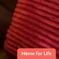 Request A Home For Life Information Pack For Your Pet