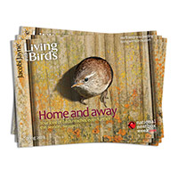 Request Your Free Print Copy Of The Living With Birds Catalogue