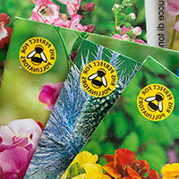 Request Your Free Zarbee's Seeds For Bees