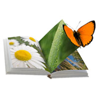 Request a FREE Paper Sample Book by Best Value Copy