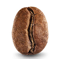 Request a FREE Roast Umber Coffee Sample