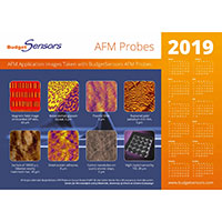 Request the free BudgetSensors Calendar for 2019