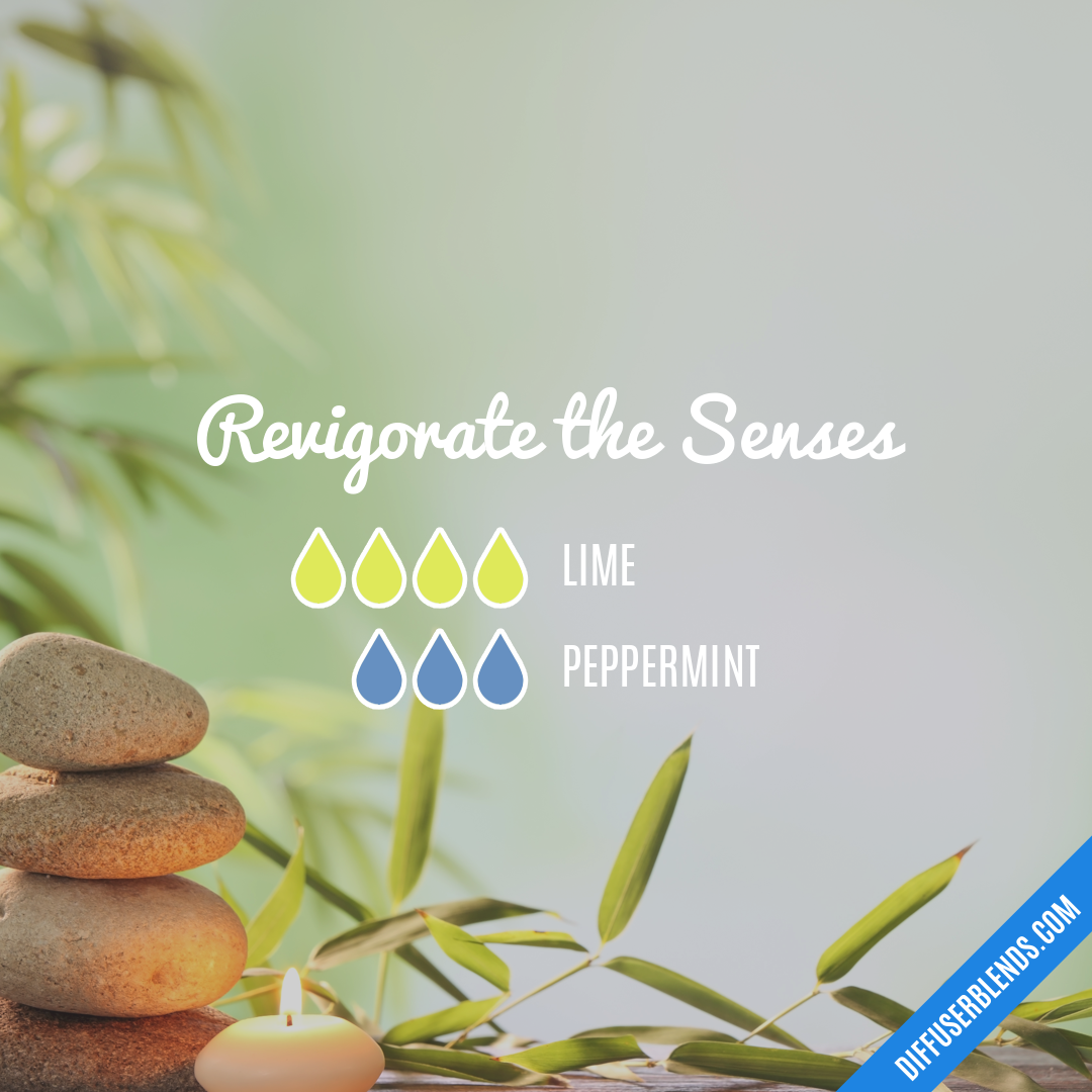 Free Essential Oil Blends Sample from Senses Marketplace