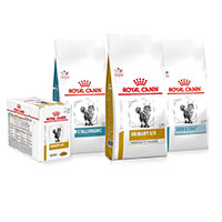 Sign up for your FREE trial of Royal Canin Kitten food