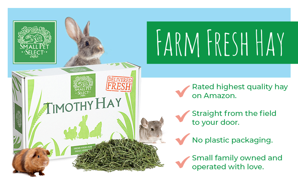 Free Small Pet Select Timothy Hay