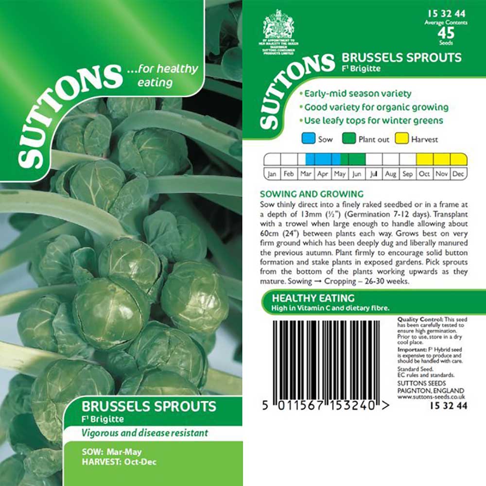 Free Sprout Into Action Seed Packet from MoveOn