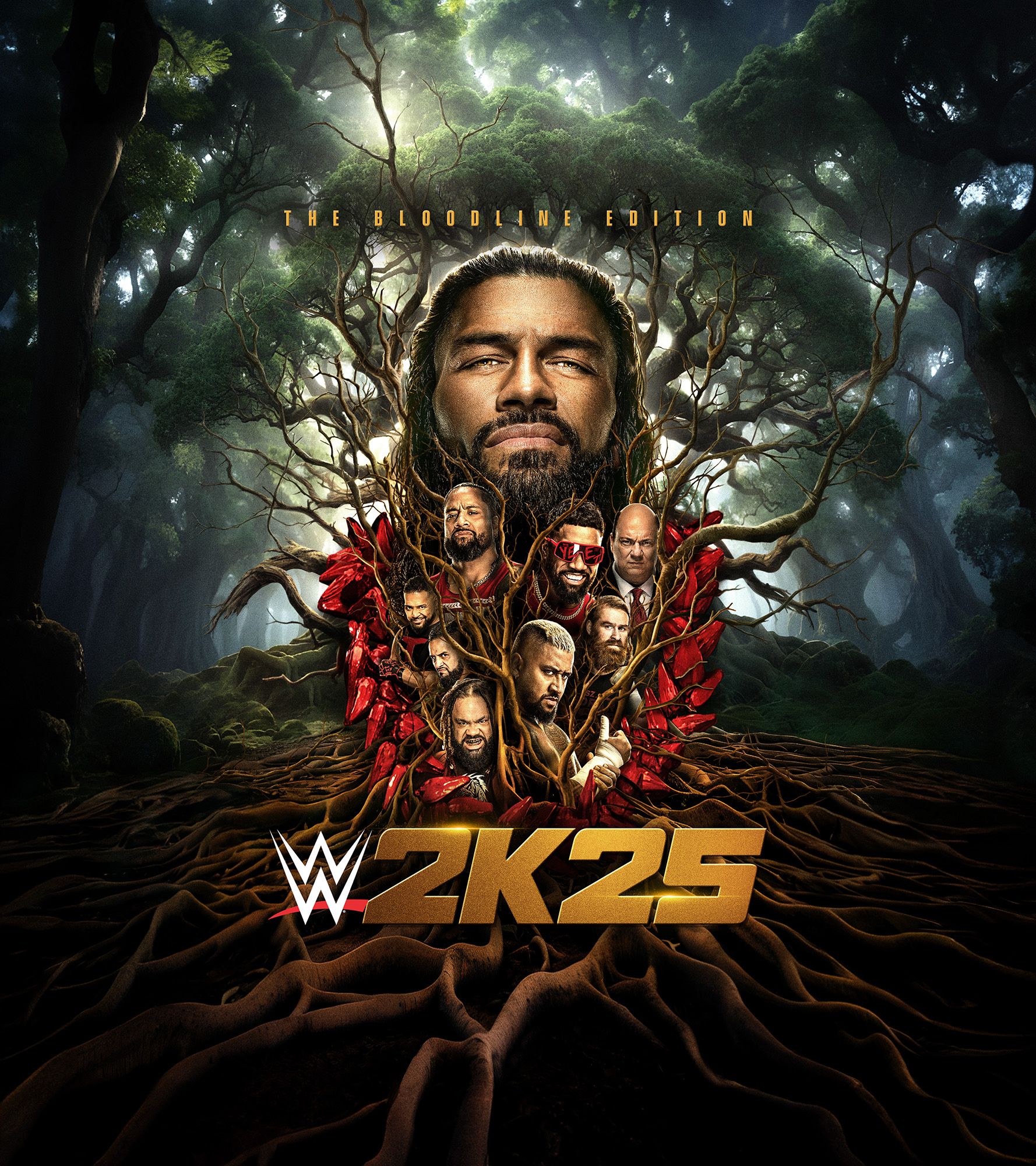 Free WWE2K 25 Gaming Codes and Wrestling Event Trip Package